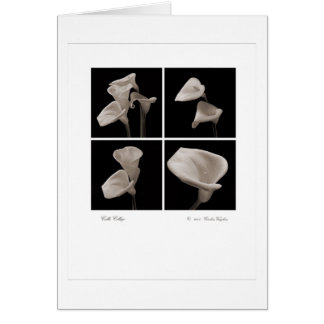 Calla_collage_2007_Brochure 2010年