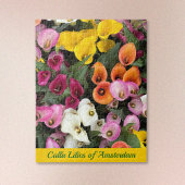 Calla Lilies of Amsterdam ジグソーパズル