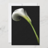 Calla Lilly招待状(独自の文字を追加) 招待状 (正面)