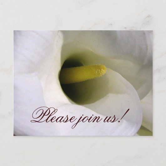 Calla lily招待状 インビテーションポストカード (正面)