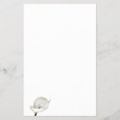 Calla Lily新婦のゲームカードをどれだけ知っているか チラシ (裏面)