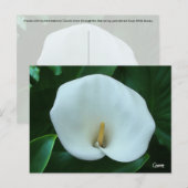 Calla Lily – はがき (正面/裏面)
