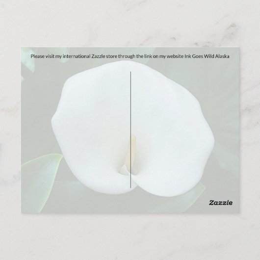 Calla Lily – はがき (裏面)