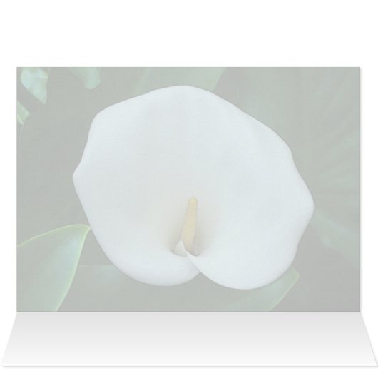 Calla Lily - 5" x 7"アートカード (内部横(上))