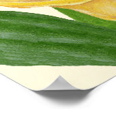 Calla Lily art print ポスター (角)