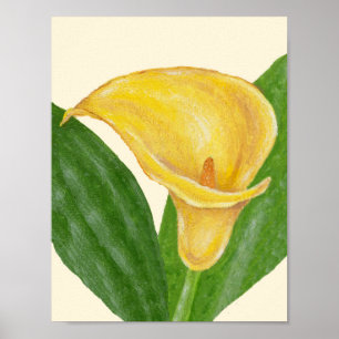 Calla Lily art print ポスター