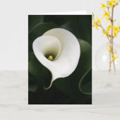 Calla Lily Greeting Card (縁どいいえ) カード (黄色い花)