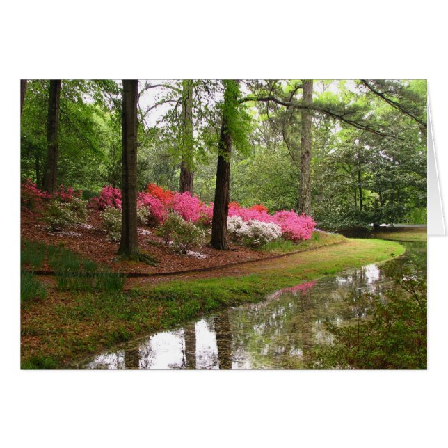 Callawayの流れ (正面横)