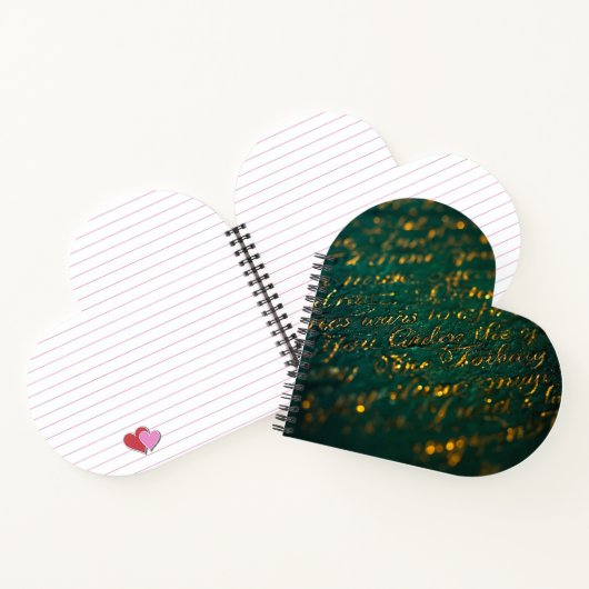 Calligraphy of the Unknown ノートブック (内部)