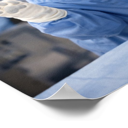 "Calling Dr. Louie!" ポスター (角)