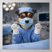 "Calling Dr. Louie!" ポスター (正面)