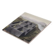 Callo、「Leからのペルーのインカ人宮殿の残物、 タイル (側面)