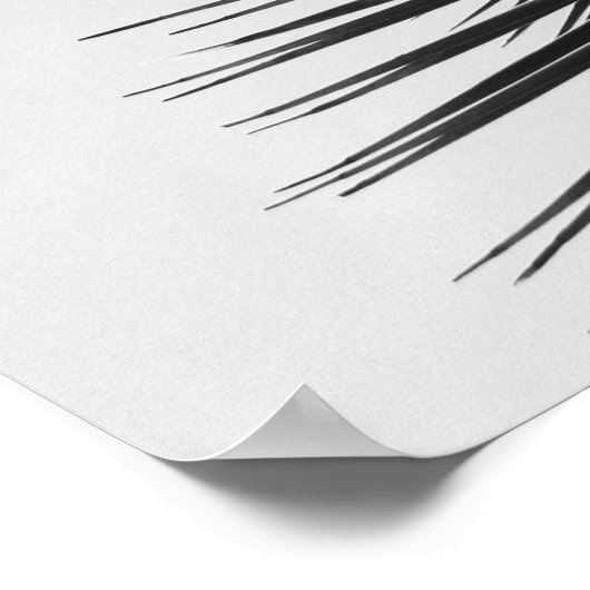 CALM保黒と白のヤシの木引用文 ポスター (角)