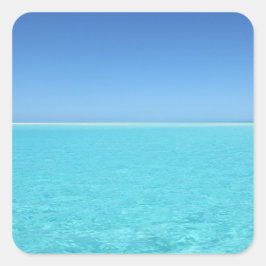 Calm海シール スクエアシール