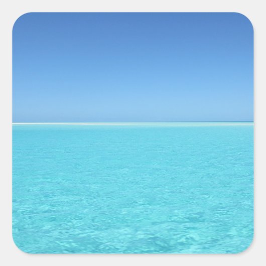 Calm海シール スクエアシール (正面)