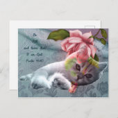 Calm cat心地よい聖なる書物、 経典はがき ポストカード (正面/裏面)