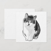 Calm Dot Invite 招待状 (正面/裏面)