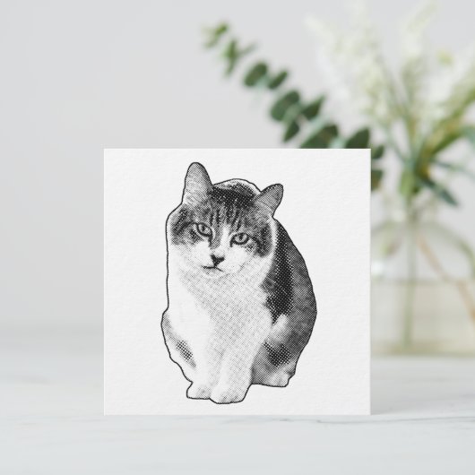 Calm Dot Invite 招待状 (スタンド正面)