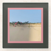 Calm Momentの写真