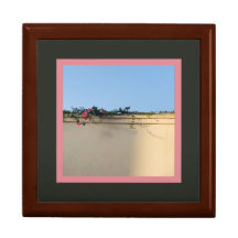 Calm Momentの写真