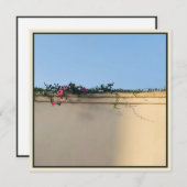 Calm Momentの写真 サンキューカード (正面/裏面)