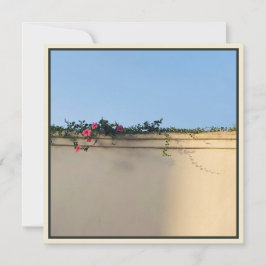 Calm Momentの写真 サンキューカード