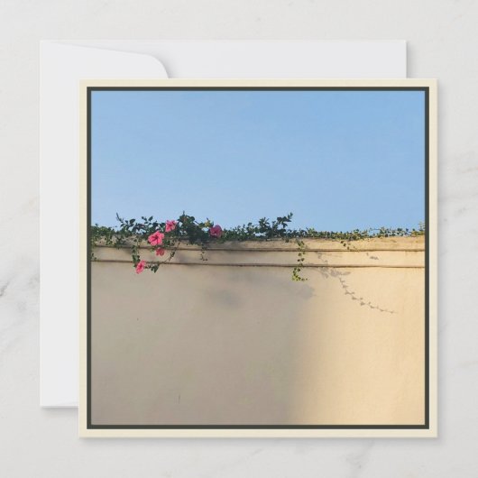 Calm Momentの写真 サンキューカード (正面)