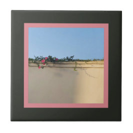 Calm Momentの写真 タイル