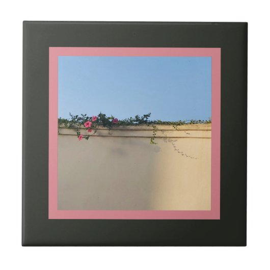 Calm Momentの写真 タイル (正面)