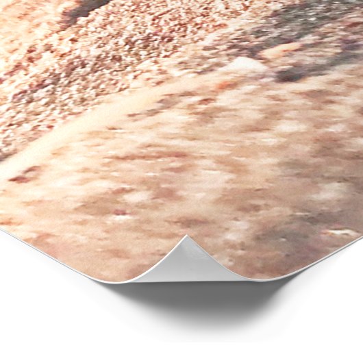 Calm Sandビーチシーシェル海写真ポスター ポスター (角)