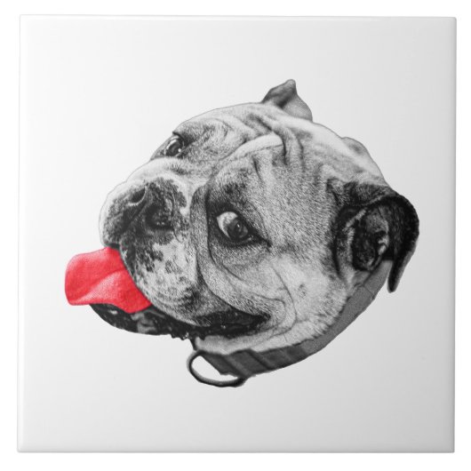 Calm Set with Warmth タイル (正面)