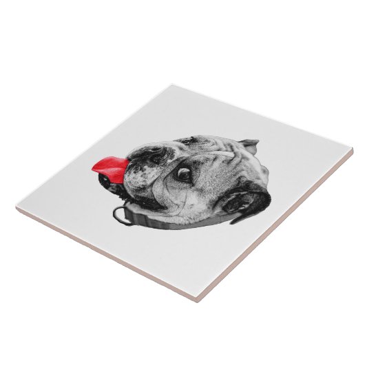 Calm Set with Warmth タイル (側面)