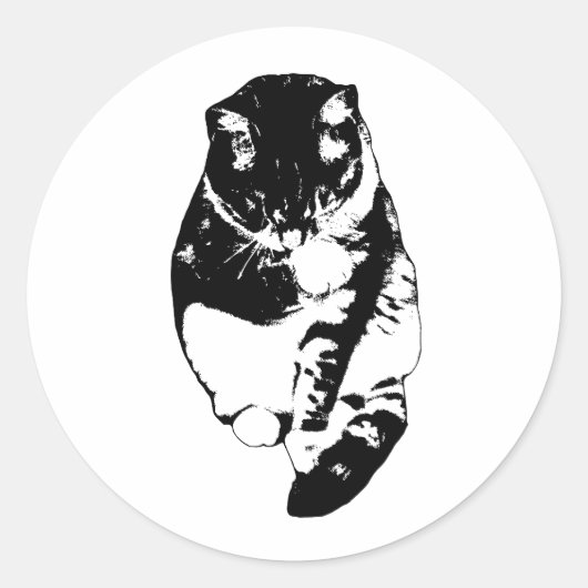 Calm Snow Shimmer ラウンドシール (正面)