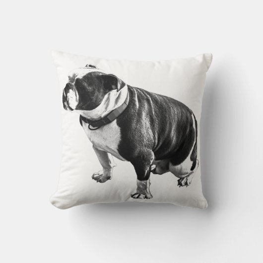 Calm That Holds Its Ground クッション (正面)