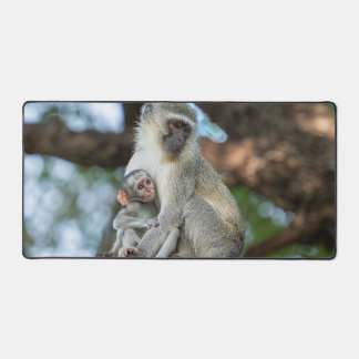 Calm Vervet Monkey in Nature デスクマット