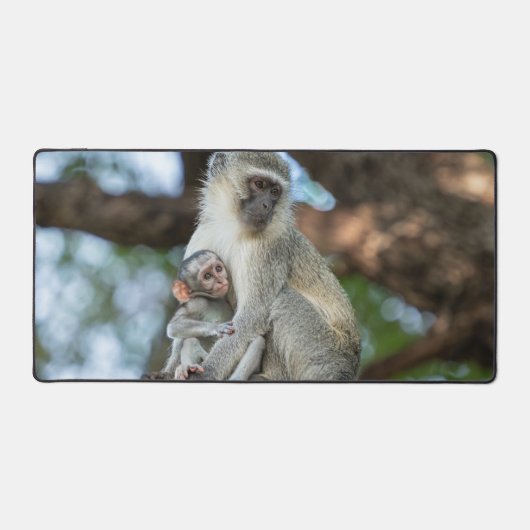 Calm Vervet Monkey in Nature デスクマット (正面)