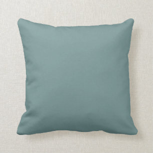 Calmed Aquamarine Blue-Green 無地の Color SW 0020 クッション