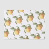 Calville apple Pattern 薄葉紙 (正面)