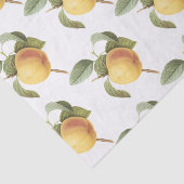 Calville apple Pattern 薄葉紙 (詳細)