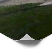 Calvin's 370z ポスター (角)