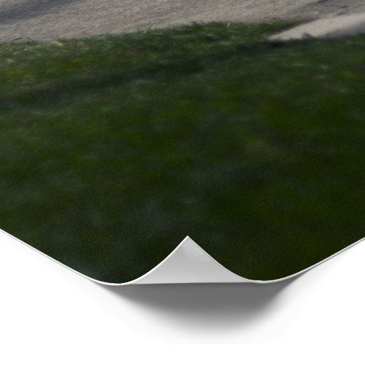 Calvin's 370z ポスター (角)