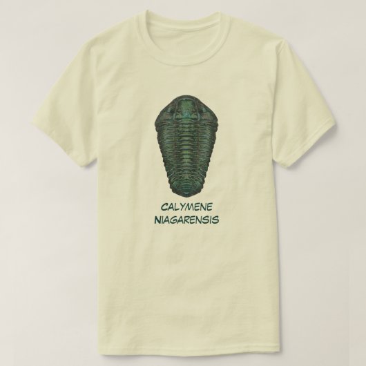 Calymene Niagarensis 三葉虫 Tシャツ (デザイン正面)