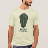 Calymene Niagarensis 三葉虫 Tシャツ (正面)