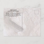 Camarasaurusスカル、スケルトン、恐竜Ntl。パーク ポストカード (裏面)