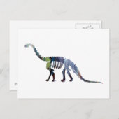 camarasaurus skeleton ポストカード (正面/裏面)