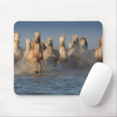 Camargueの地域の白馬のグループ マウスパッド (マウス)