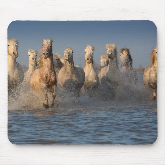 Camargueの地域の白馬のグループ マウスパッド (正面)