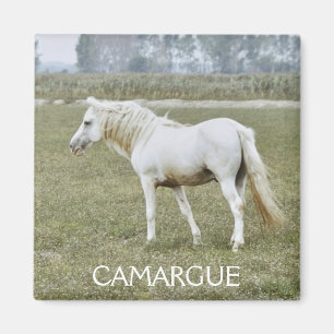 Camargueの種馬の磁石 マグネット