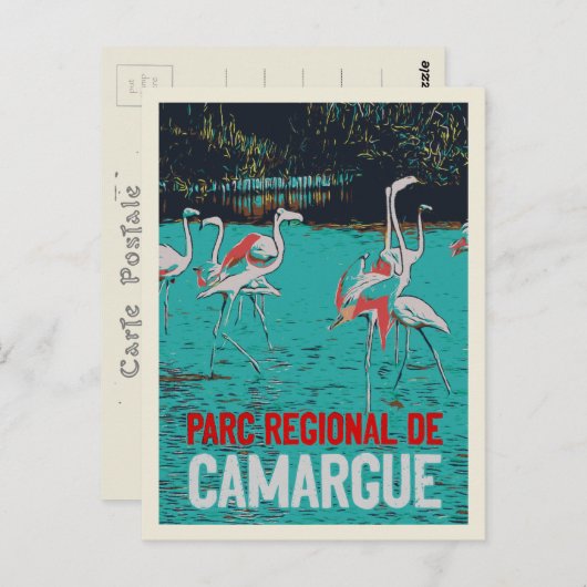 Camargue地域公園,フランス,ピンクのフラミンゴ ポストカード (正面/裏面)