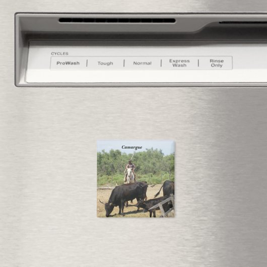 Camargue - マグネット (インサイチュ (食洗機))